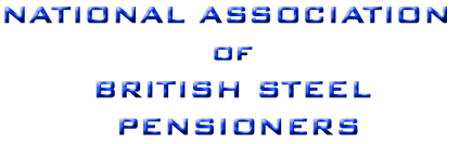NABSP logo 8k
